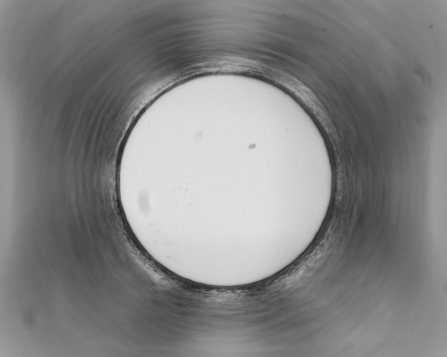 X0000111660850200908141312