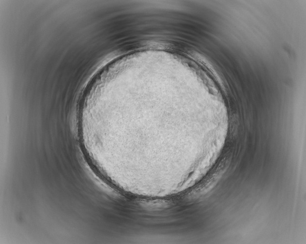 X0000111660851200908141312