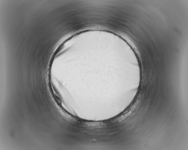 X0000111660853200908141312