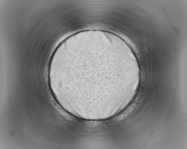 X0000111660854200908141312