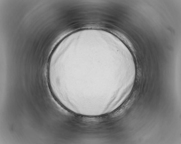 X0000111660855200908141312