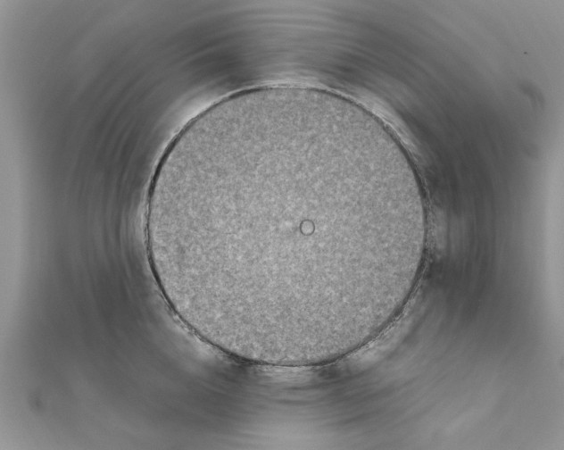 X0000111660856200908141312