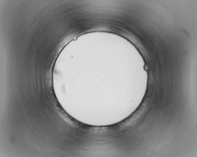 X0000111660858200908141312