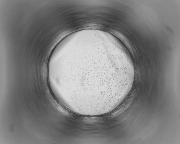 X0000111660859200908141312