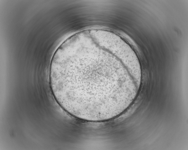 X0000111660860200908141312