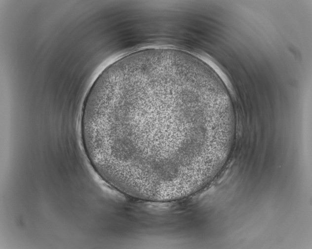 X0000111660861200908141312