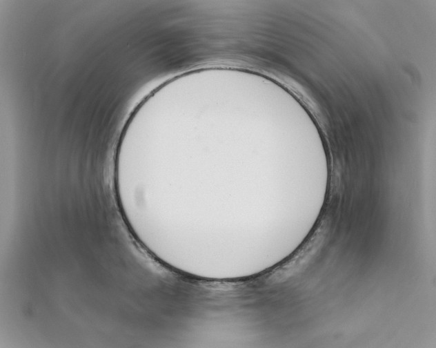 X0000111660862200908141312