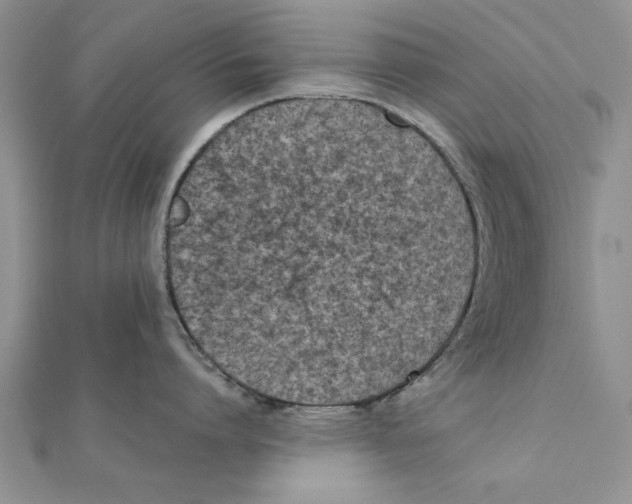 X0000111660864200908141312