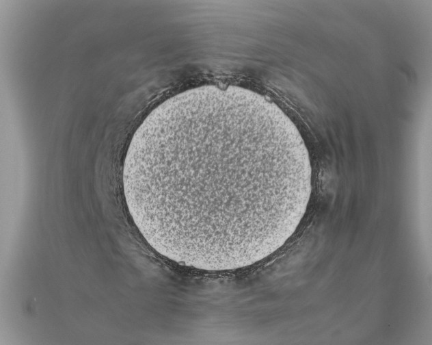 X0000111660865200908141311