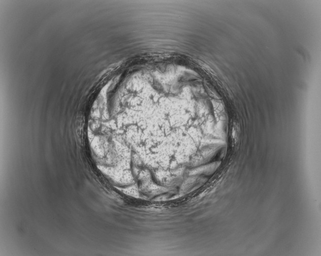 X0000111660867200908141311