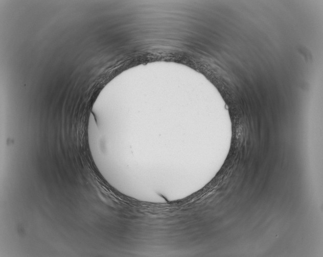 X0000111660868200908141311