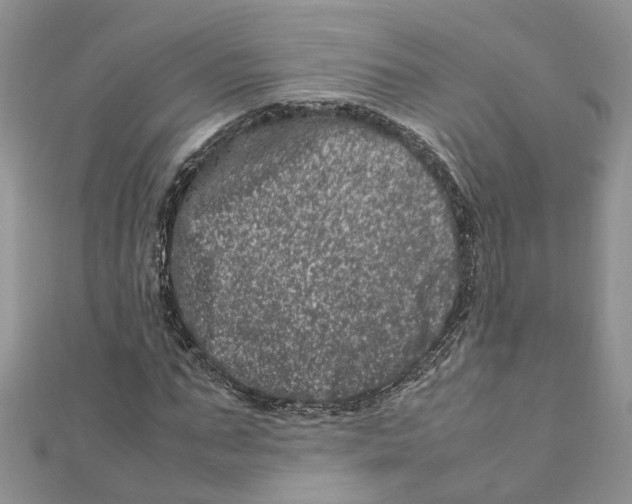 X0000111660871200908141311