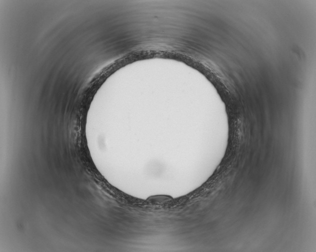 X0000111660872200908141311