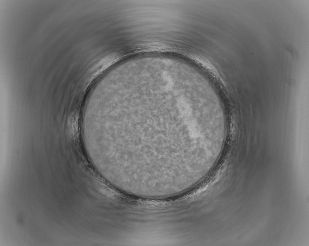 X0000111660873200908141311