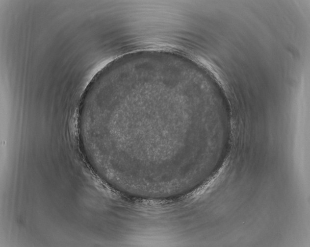 X0000111660875200908141311