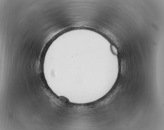 X0000111660876200908141311