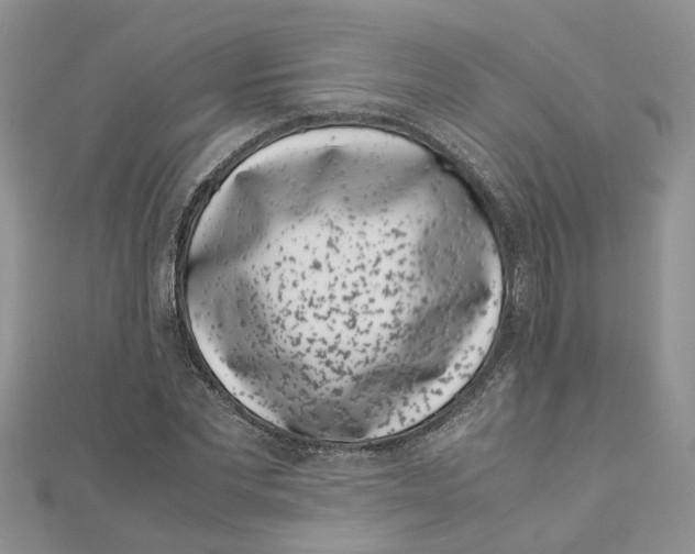 X0000111660877200908141311