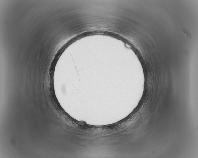 X0000111660879200908141311