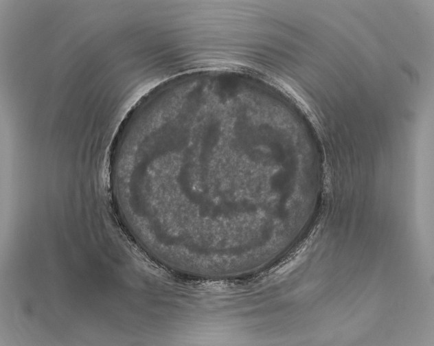 X0000111660883200908141311