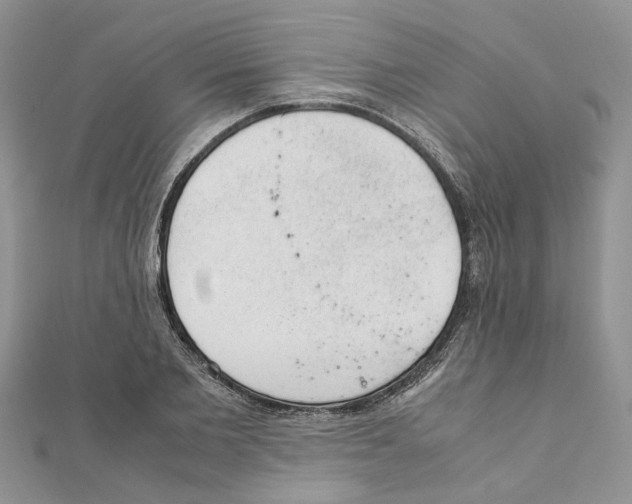 X0000111660885200908141311