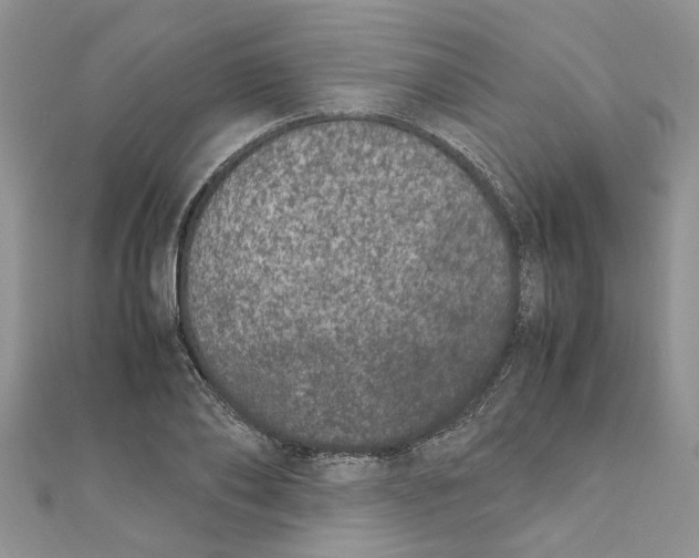 X0000111660886200908141311