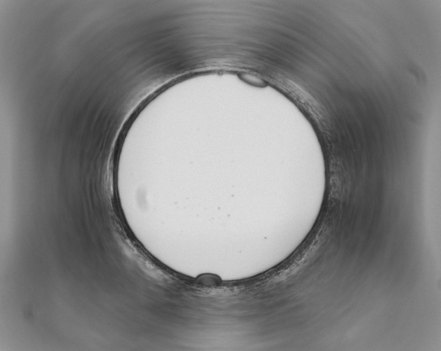 X0000111660892200908141311