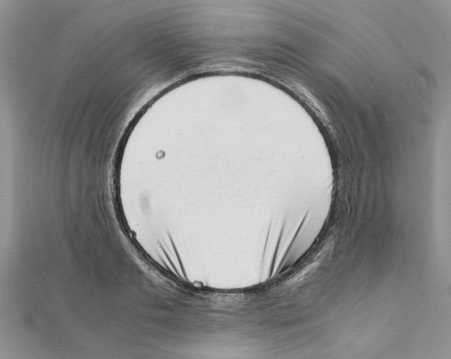 X0000111660893200908141311