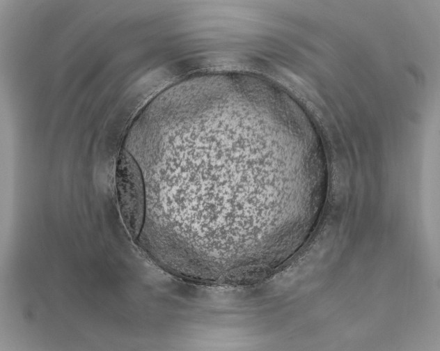 X0000111660897200908141311