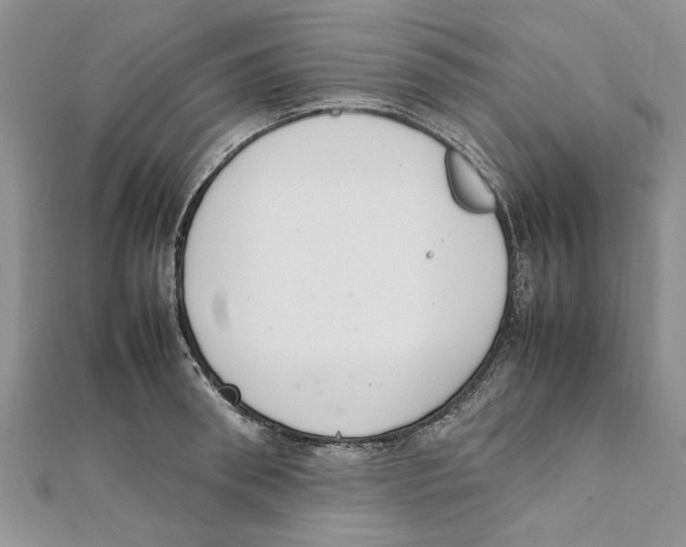 X0000111660898200908141311