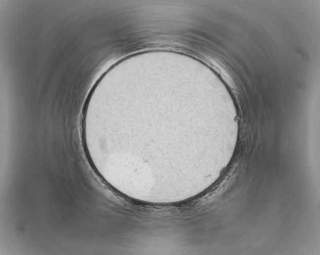 X0000111660899200908141311