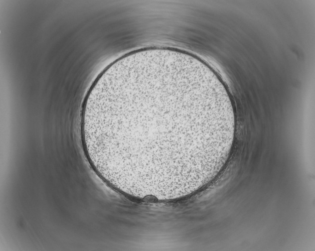 X0000111660903200908141311