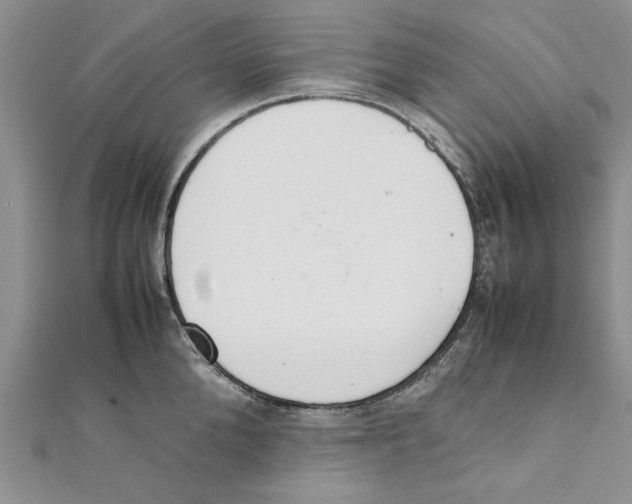 X0000111660904200908141311