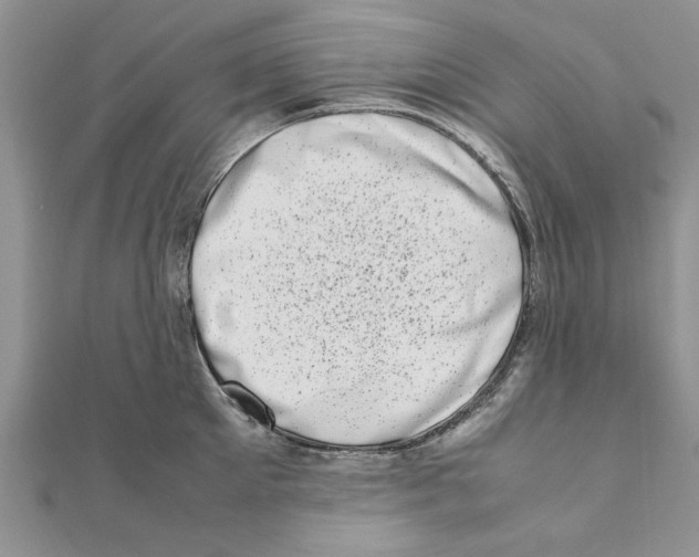 X0000111660905200908141311