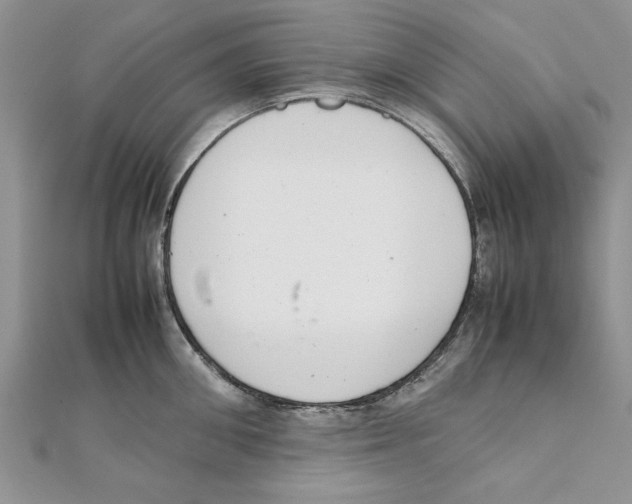 X0000111660906200908141311