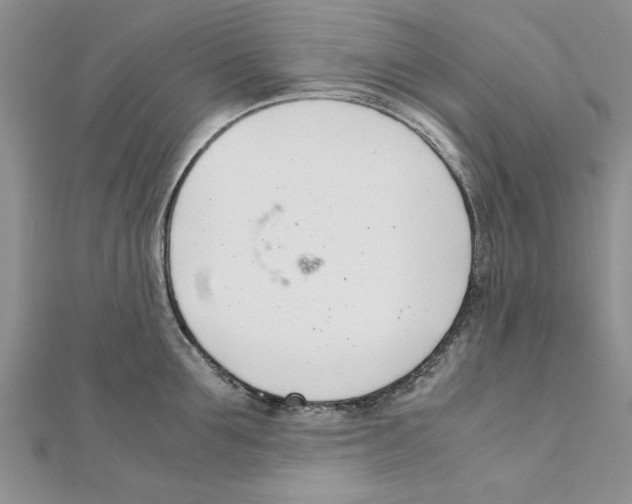 X0000111660907200908141311