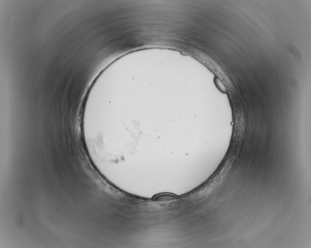 X0000111660908200908141311