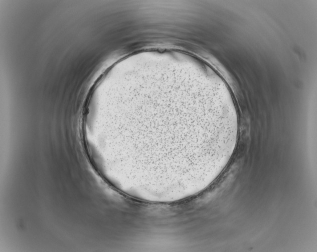 X0000111660909200908141311