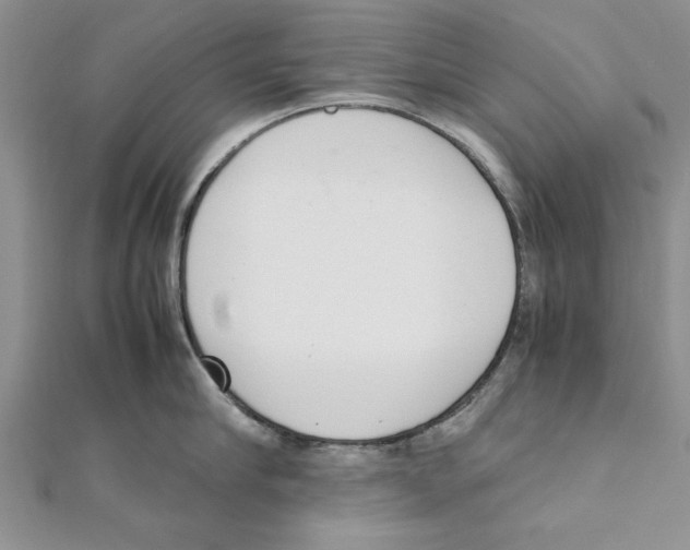 X0000111660910200908141311