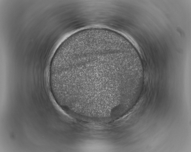 X0000111660911200908141311