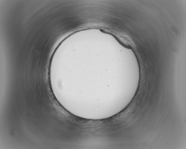 X0000111660912200908141311