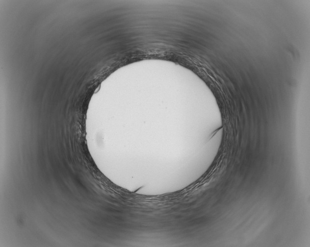 X0000111660916200908141310