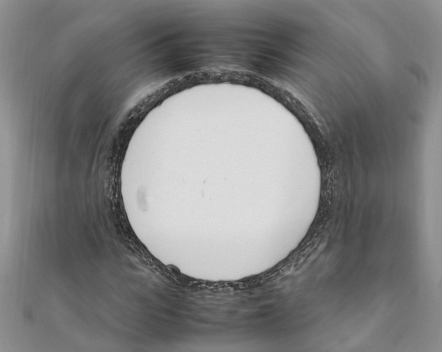 X0000111660919200908141310