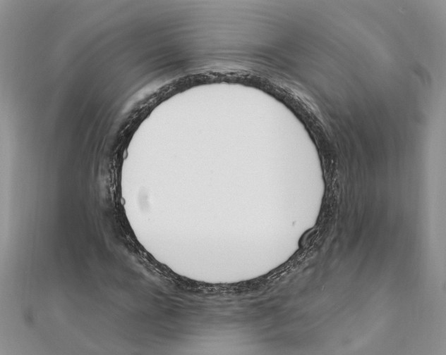 X0000111660920200908141310