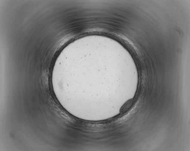 X0000111660921200908141310