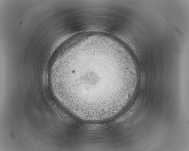 X0000111660925200908141310