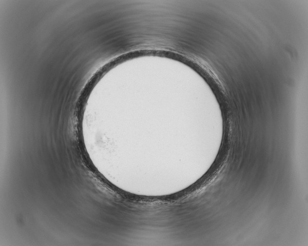 X0000111660926200908141310