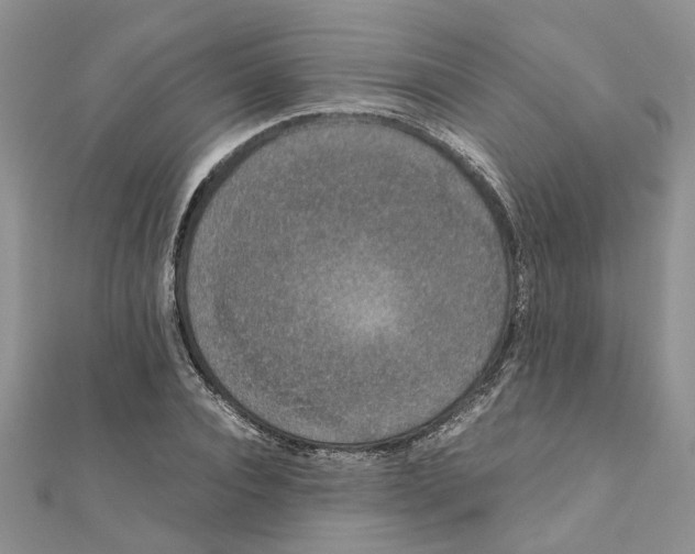 X0000111660928200908141310