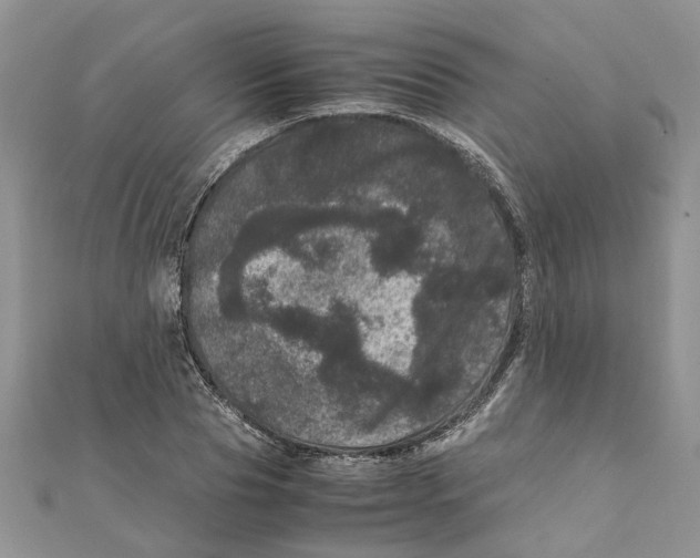 X0000111660929200908141310