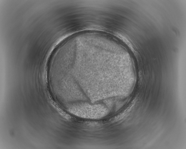 X0000111660931200908141310