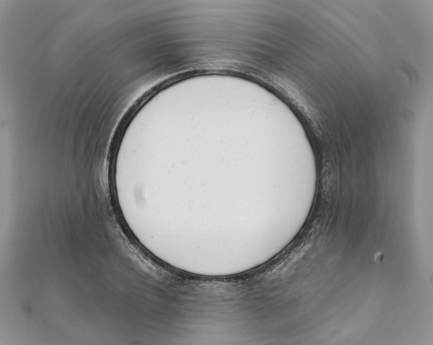 X0000111660932200908141310